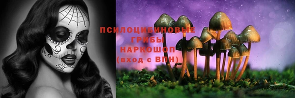 скорость Иннополис