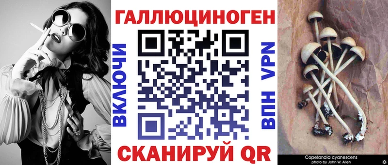 Купить  Людиново  Псилоцибиновые грибы прущие грибы 